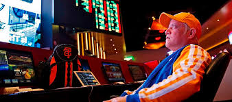 Онлайн казино Casino BOOI